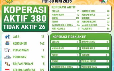 Data Koperasi di Kabupaten Gunung Mas per 30 Juni 2025